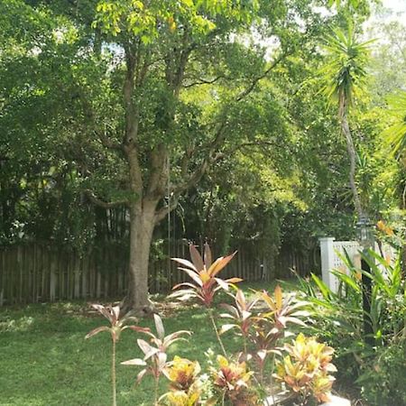Apts With Backyard Near Fort Lauderdale Beach, Nightlife, Cruise Port, Airport Kültér fotó