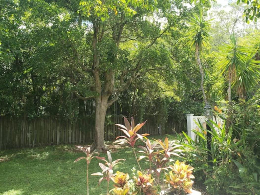Apts With Backyard Near Fort Lauderdale Beach, Nightlife, Cruise Port, Airport Kültér fotó